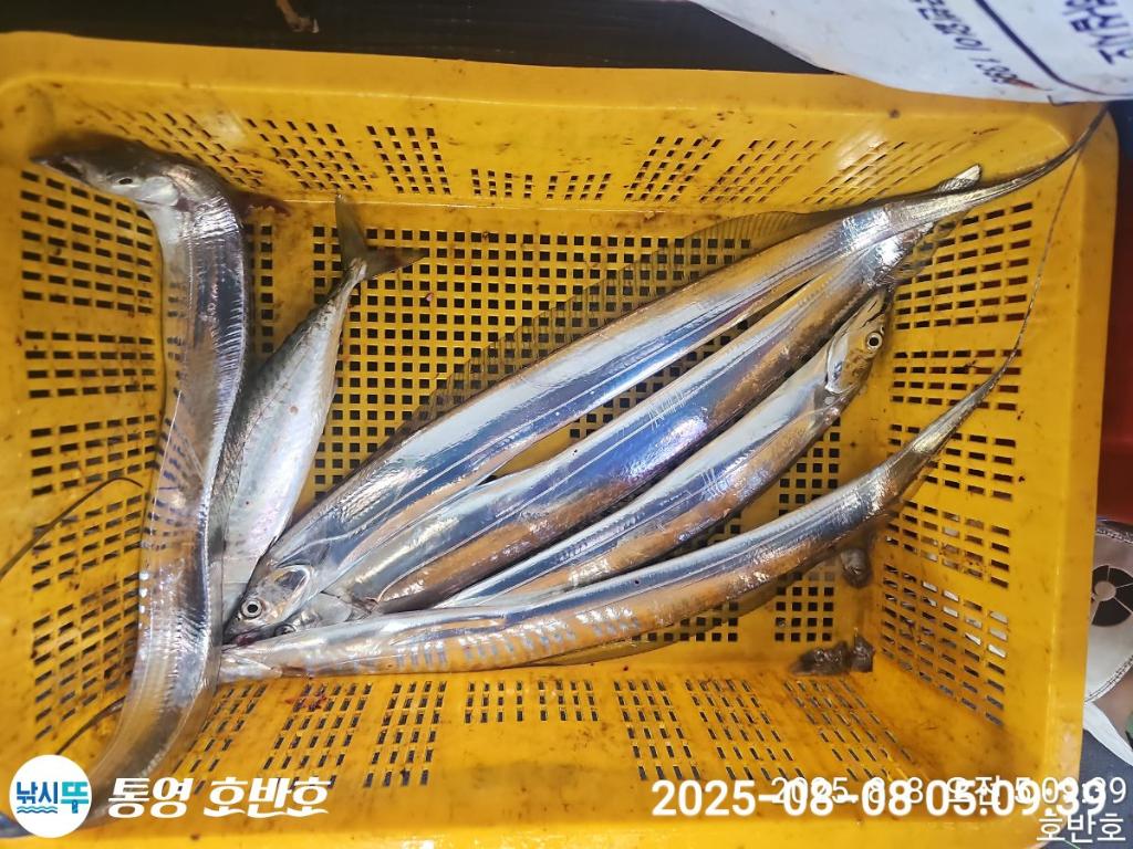 F2742499DI.jpg