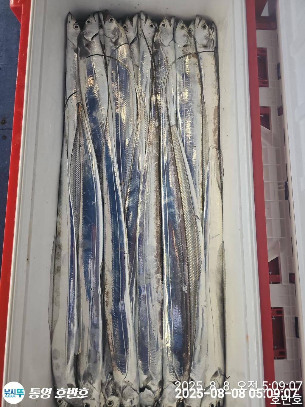 F2742500N9.jpg