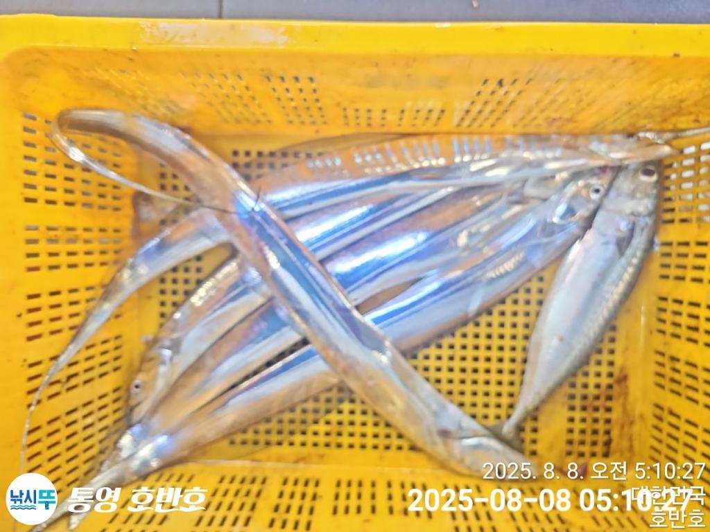 F2742502PA.jpg