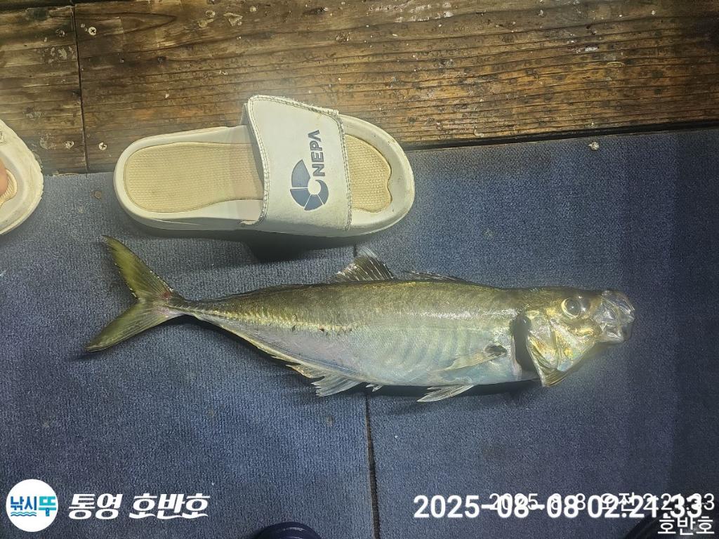 F274250723.jpg