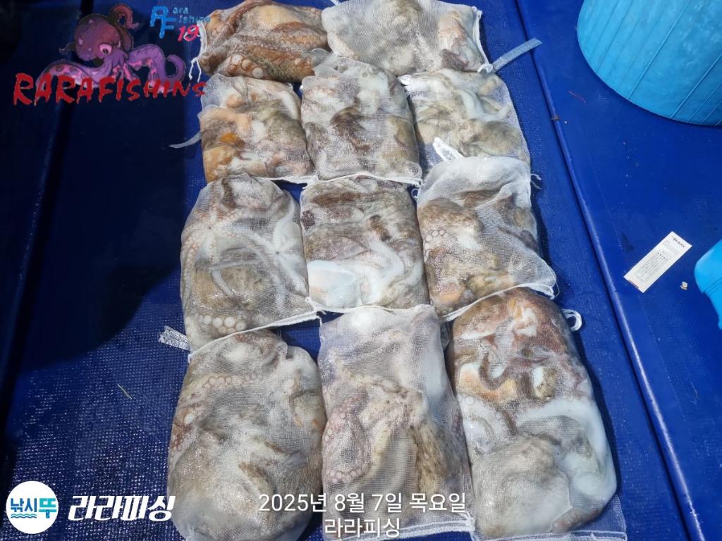 F2742933V0.jpg