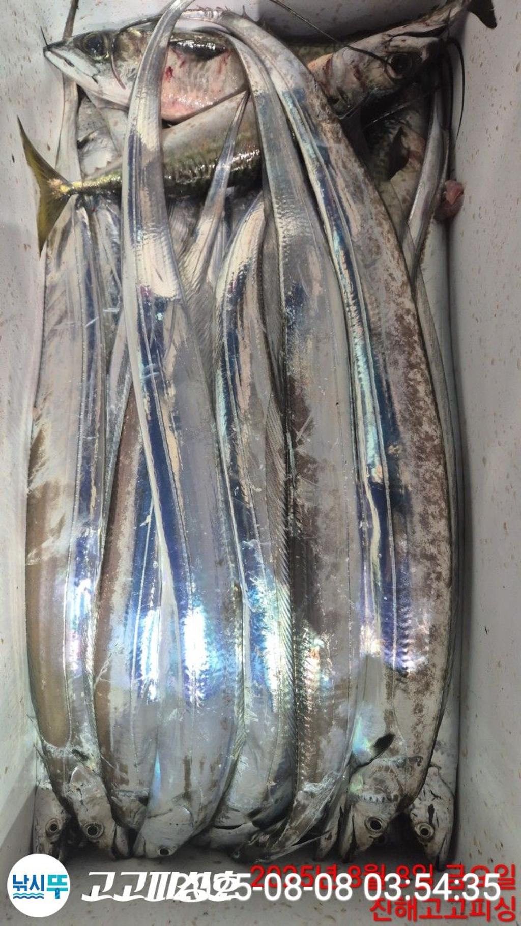 F27426202M.jpg