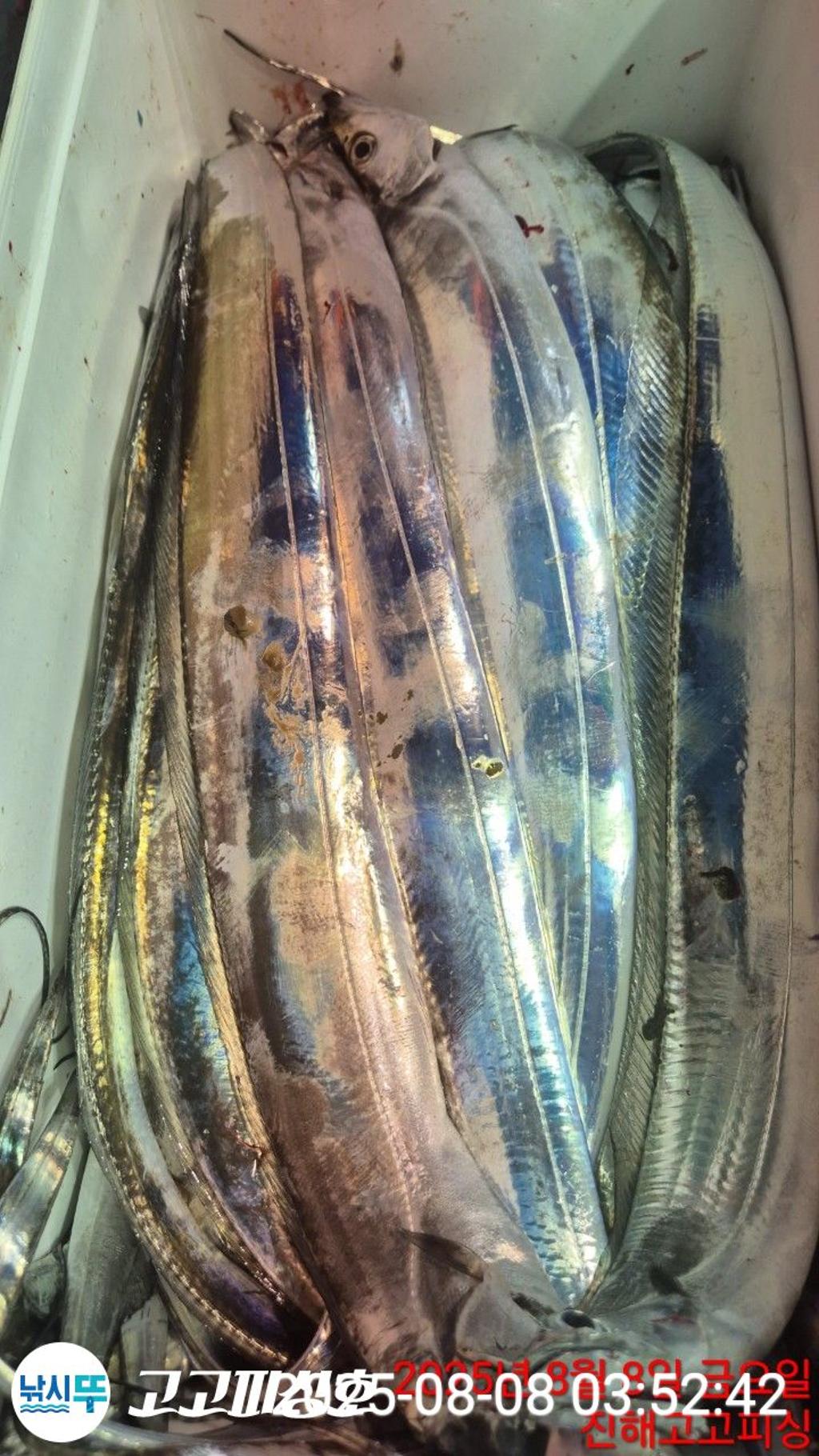 F274262335.jpg