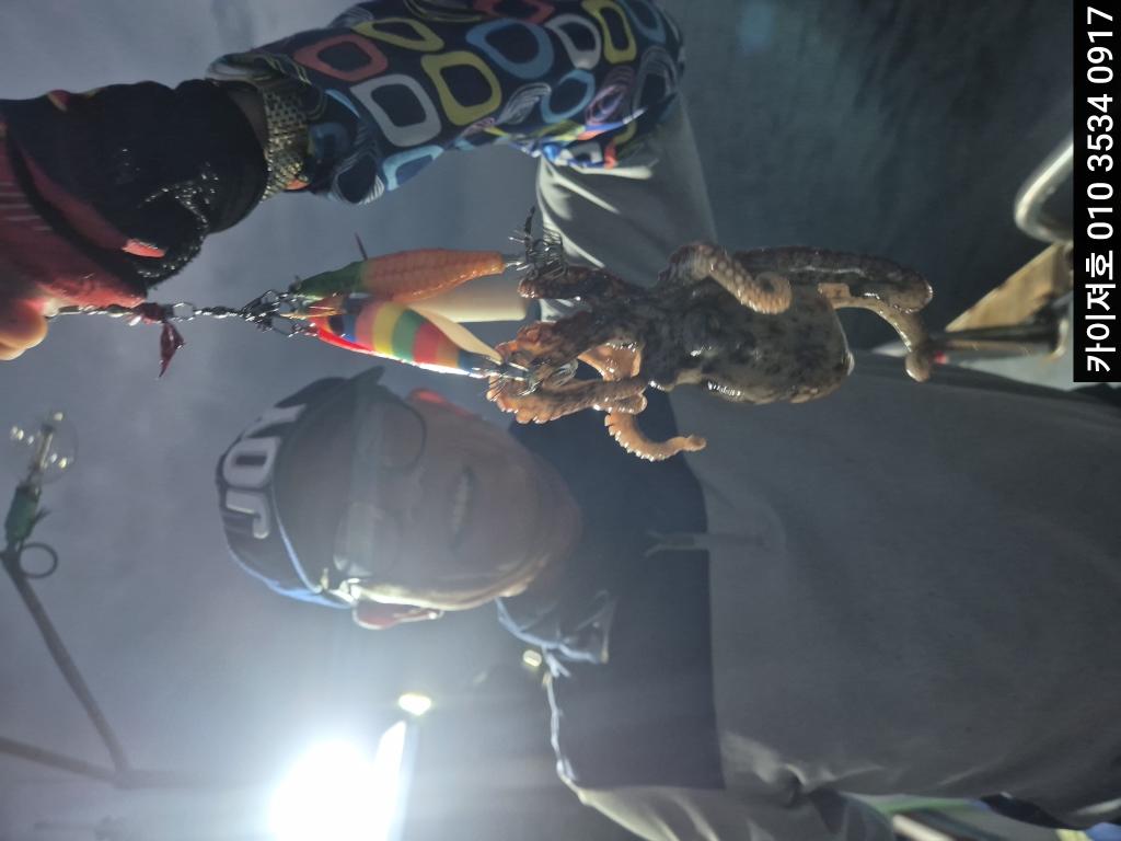 F2743066LW.jpg