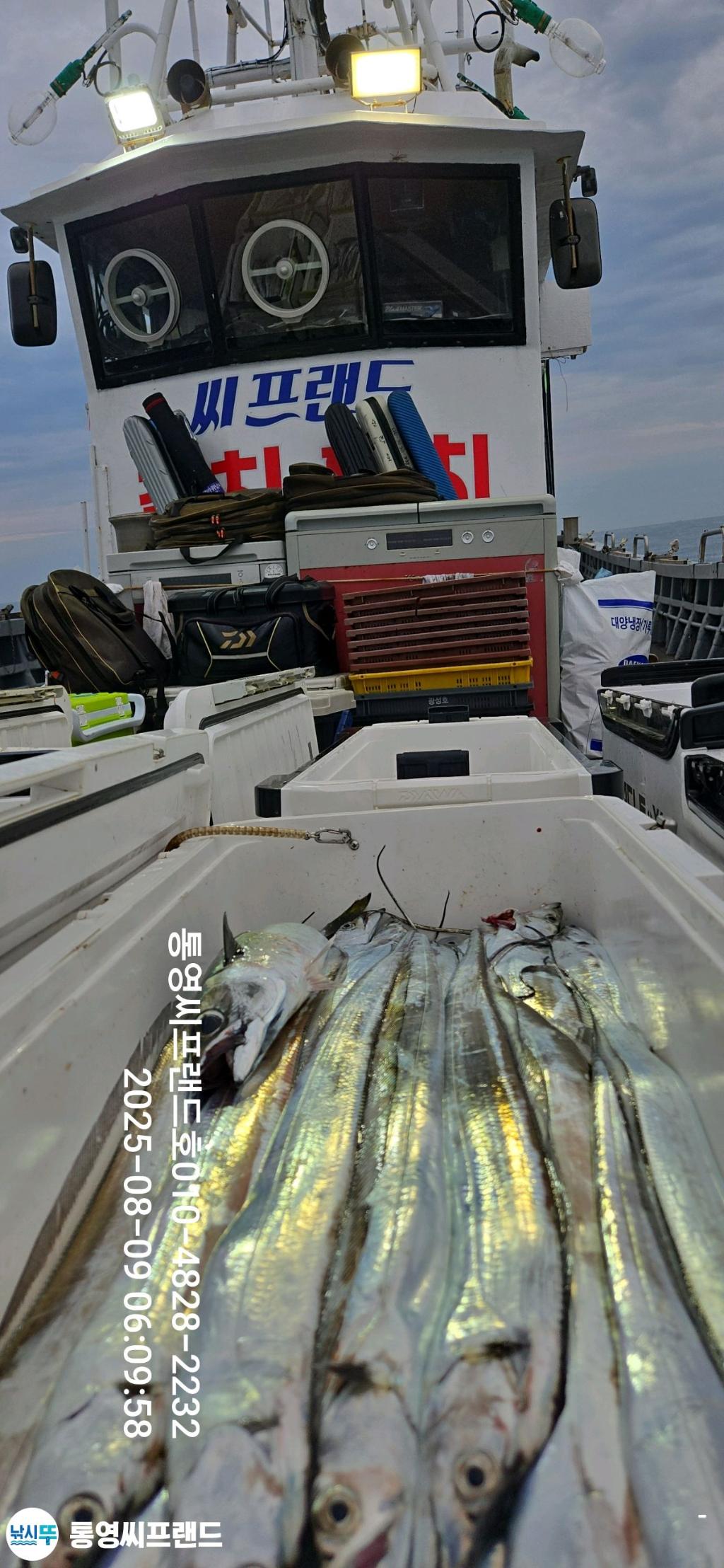 F27430823X.jpg