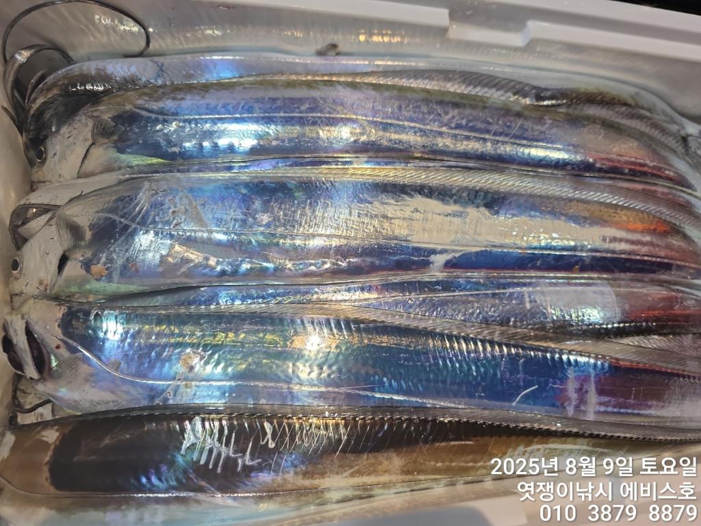 F2743477AW.jpg