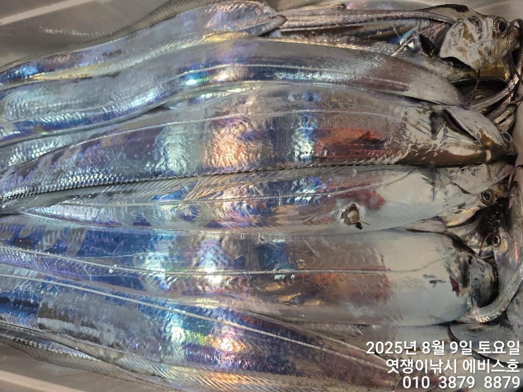 F274347993.jpg