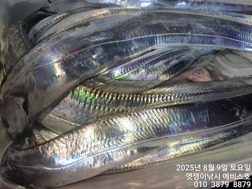 F27434843Z.jpg