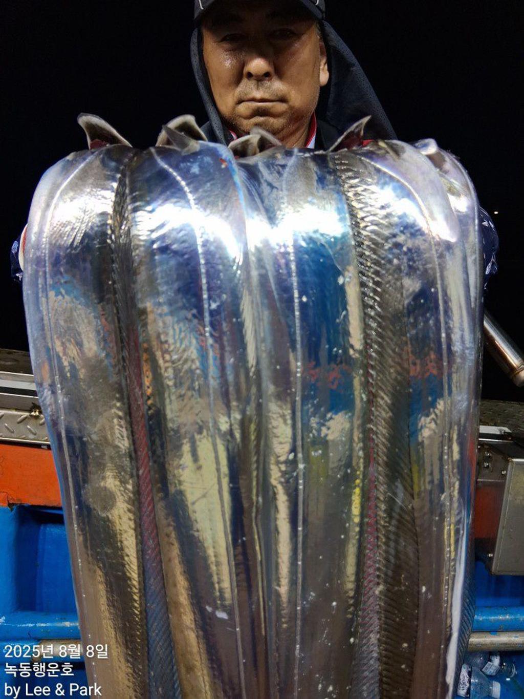 낚시뚜,갈치,녹동항,녹동대성호,낚시뚜26