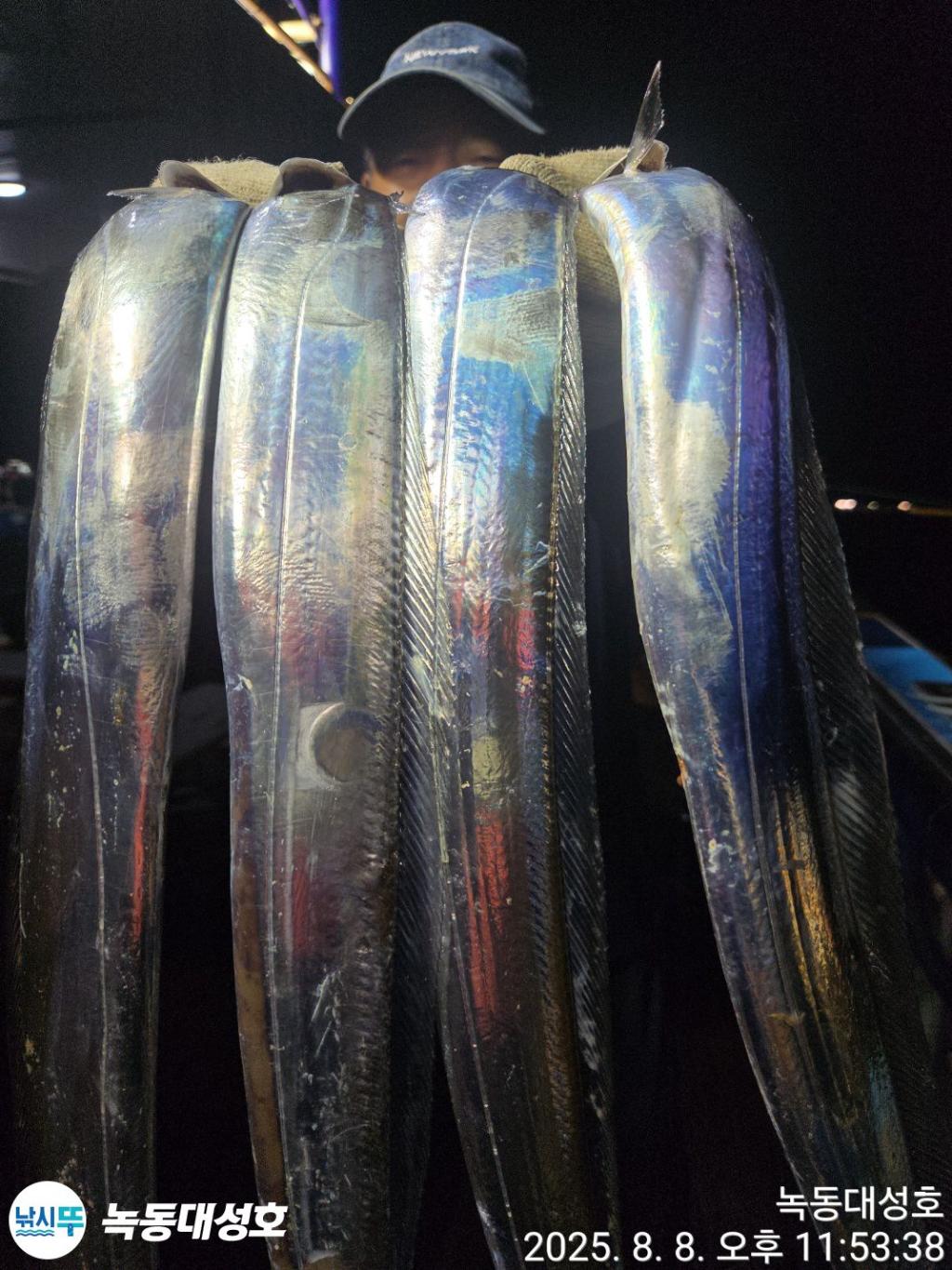 낚시뚜,갈치,녹동항,녹동대성호,낚시뚜13