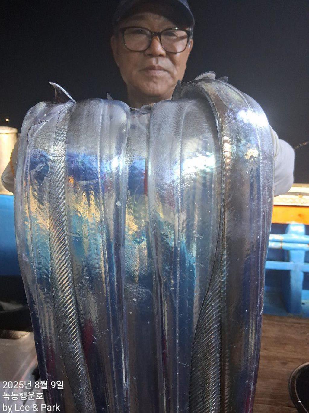 낚시뚜,갈치,녹동항,녹동대성호,낚시뚜10