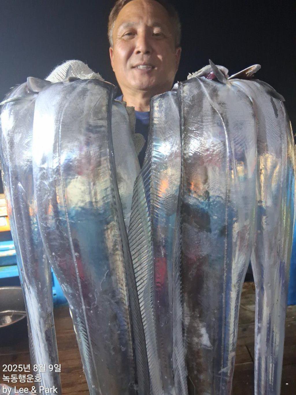 낚시뚜,갈치,녹동항,녹동대성호,낚시뚜2