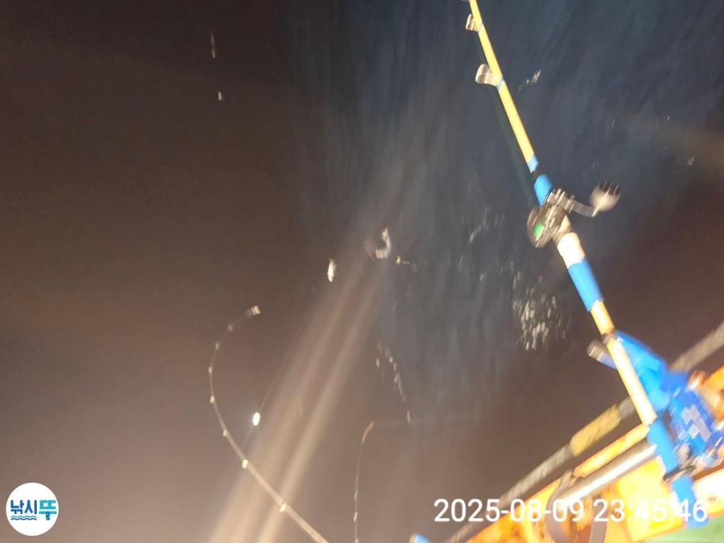 F2744051CG.jpg