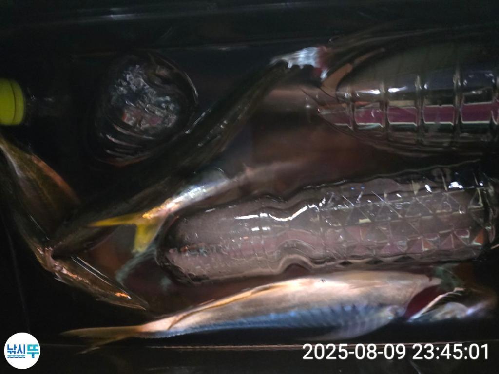 F2744052H1.jpg