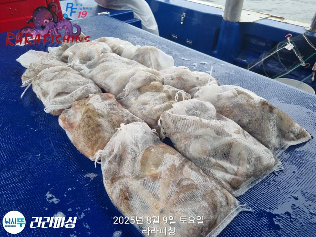 F2744189Q9.jpg