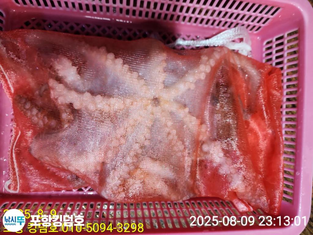 F2744394ZT.jpg