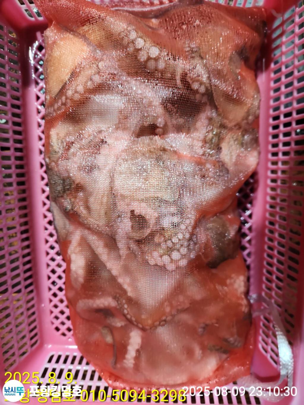 F2744396ZZ.jpg