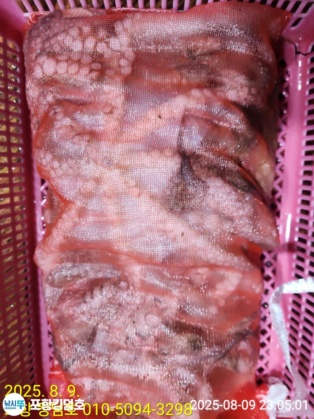 F2744398ZF.jpg