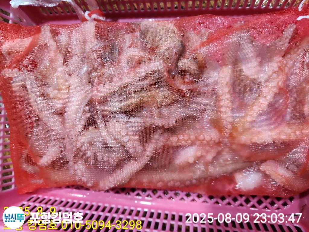 F27443993K.jpg
