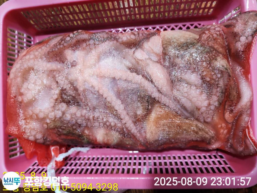 F2744400NK.jpg