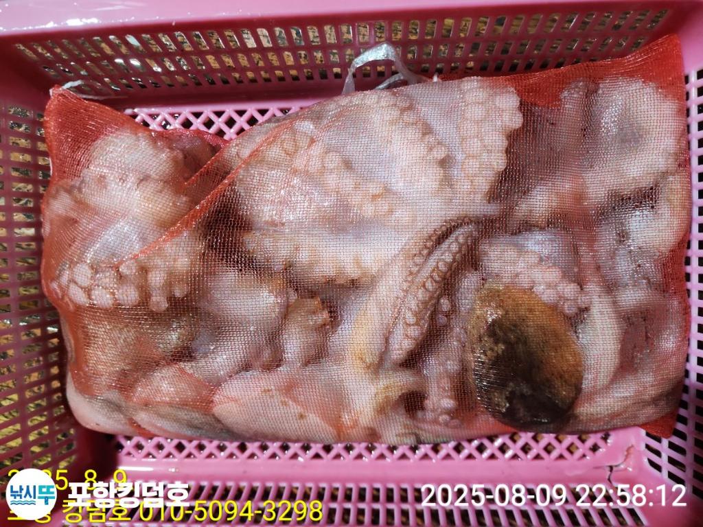 F2744402AD.jpg