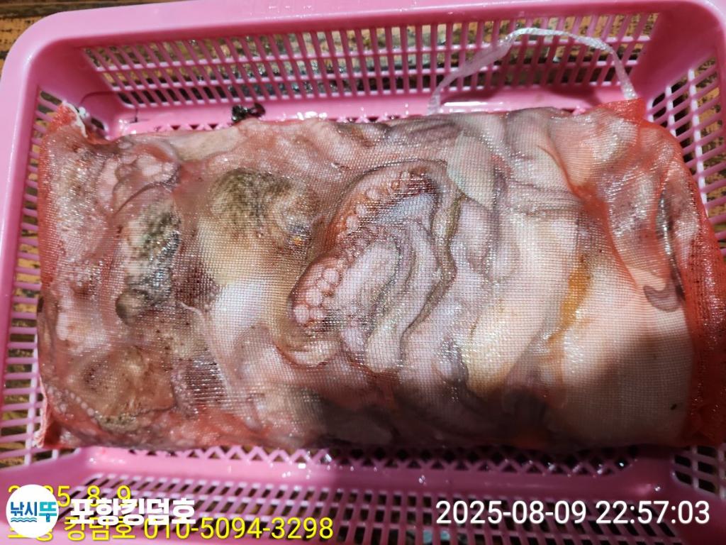 F2744403TP.jpg