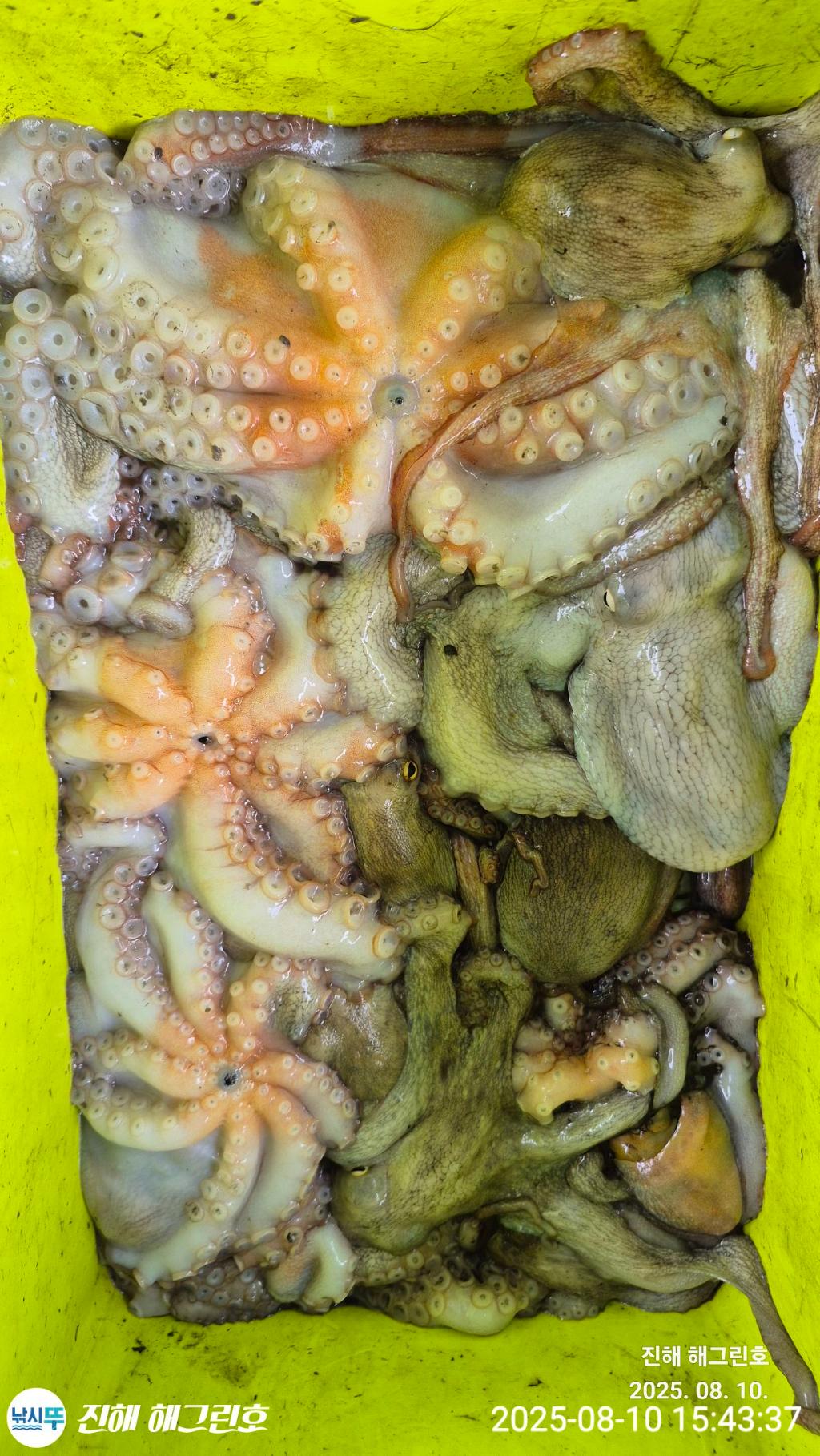 F2744588M9.jpg
