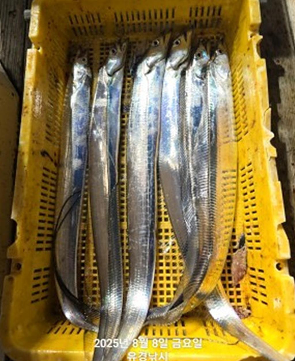 F2743889CV.jpg