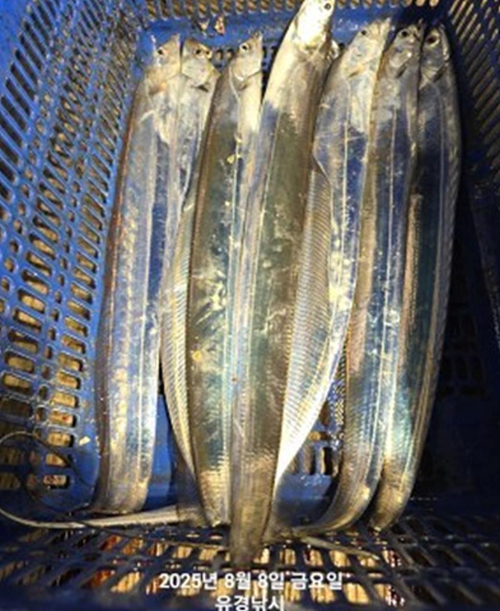 F2743891P1.jpg