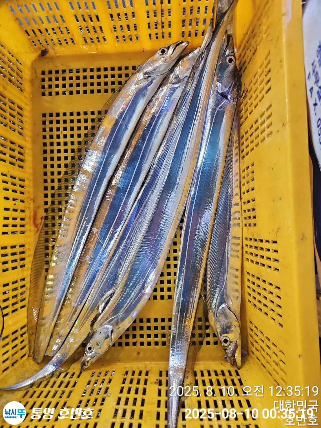 F274474586.jpg