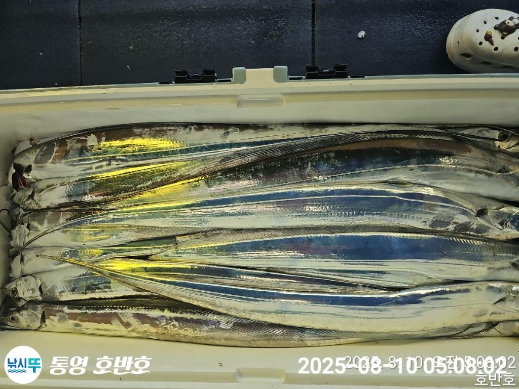 F27447513K.jpg
