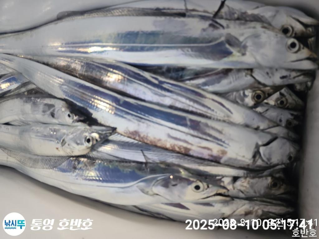 F2744755VM.jpg