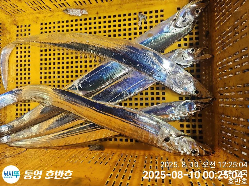 F2744765HZ.jpg
