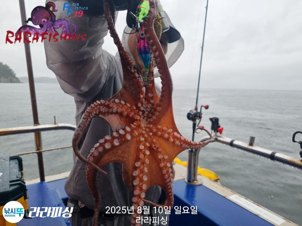 낚시뚜,돌문어,속천항(진해),라라피싱,낚시뚜13