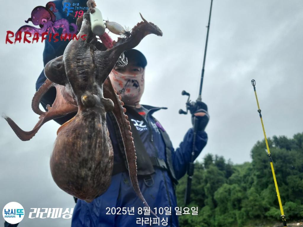 낚시뚜,돌문어,속천항(진해),라라피싱,낚시뚜10