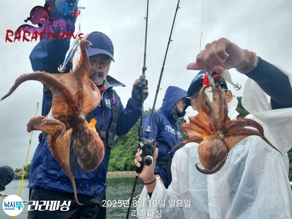 낚시뚜,돌문어,속천항(진해),라라피싱,낚시뚜9