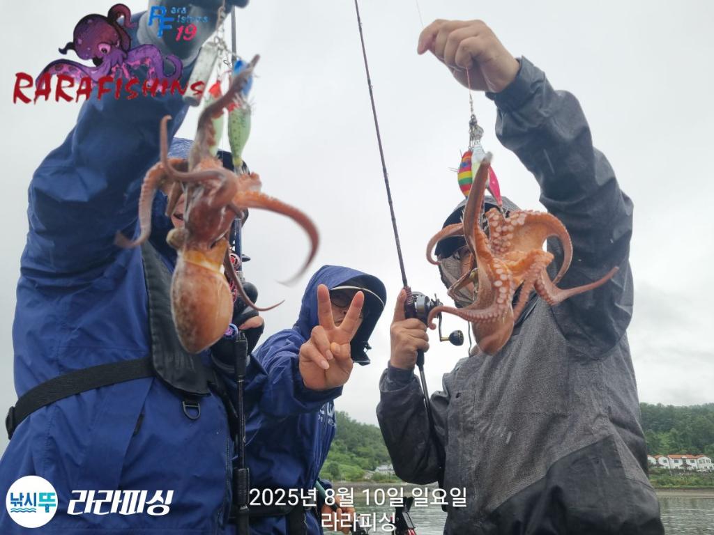 낚시뚜,돌문어,속천항(진해),라라피싱,낚시뚜8