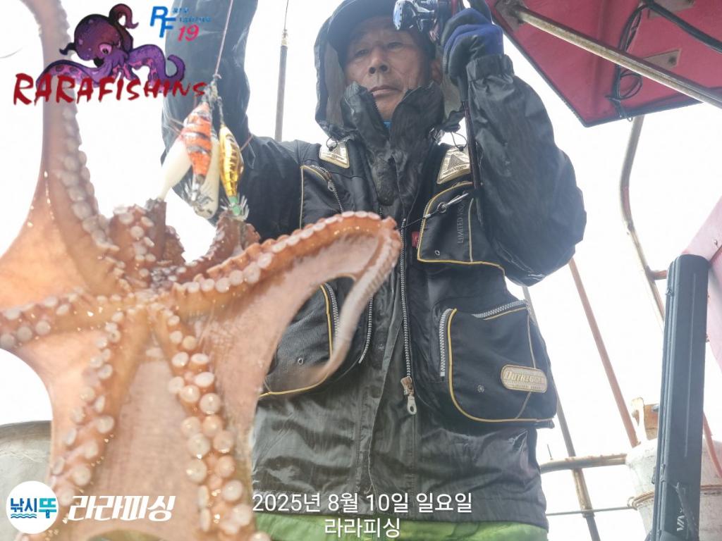 낚시뚜,돌문어,속천항(진해),라라피싱,낚시뚜7