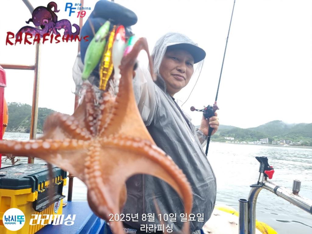 낚시뚜,돌문어,속천항(진해),라라피싱,낚시뚜6