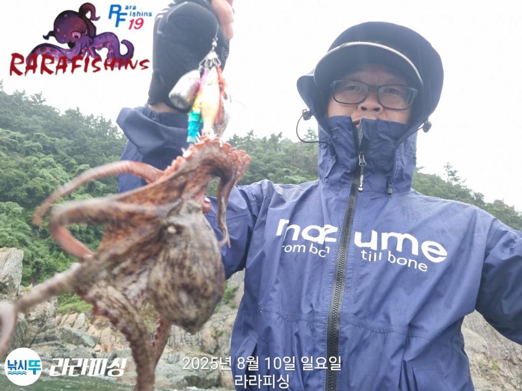 낚시뚜,돌문어,속천항(진해),라라피싱,낚시뚜4
