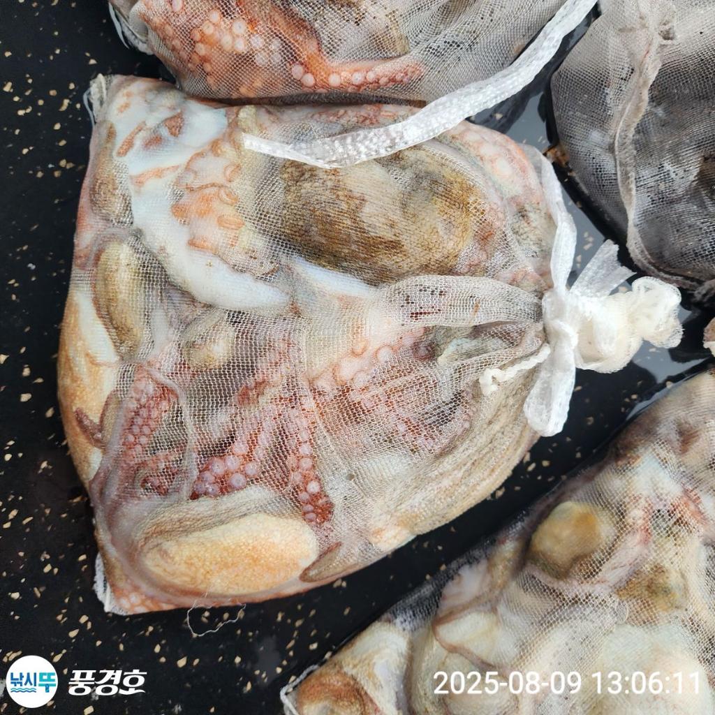 F2744268EN.jpg