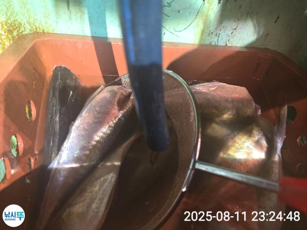 F2745254H0.jpg