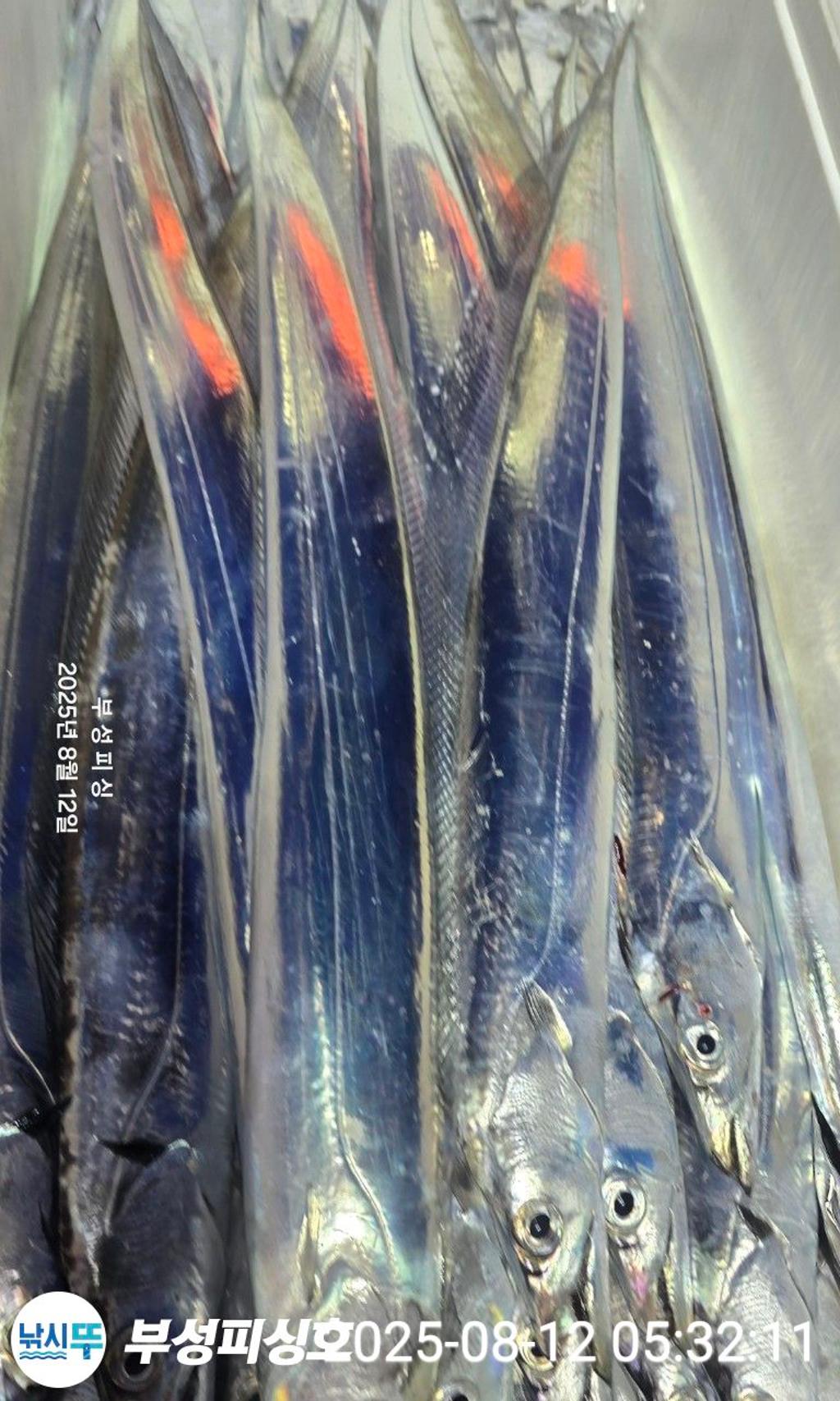 F274526771.jpg