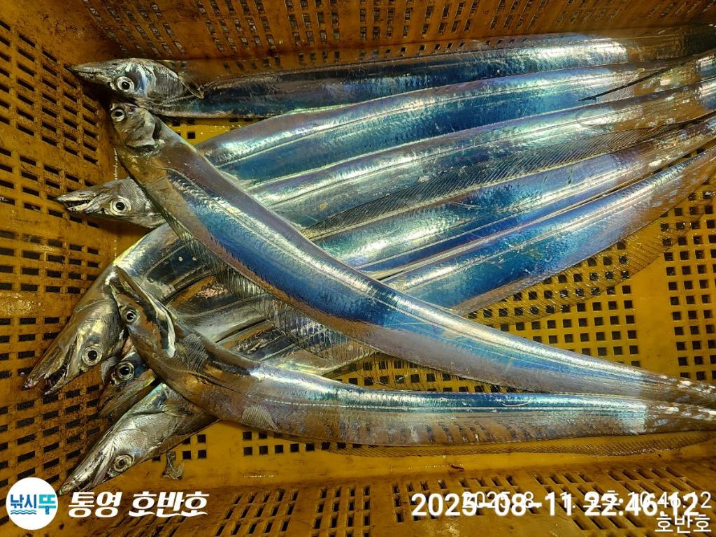 F2745318QF.jpg