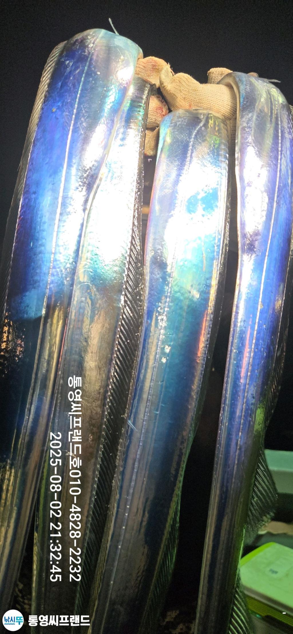 F2745973TO.jpg