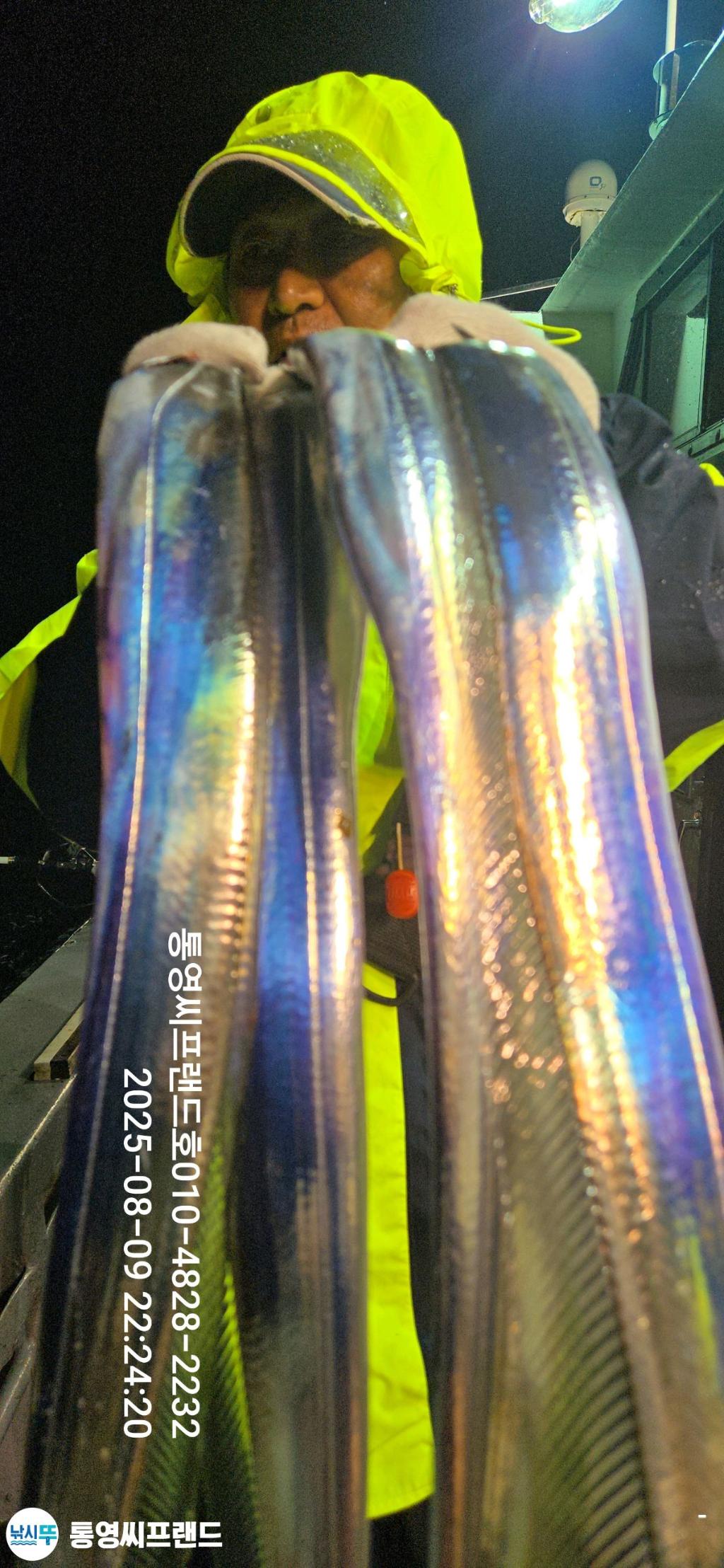 F27459816P.jpg