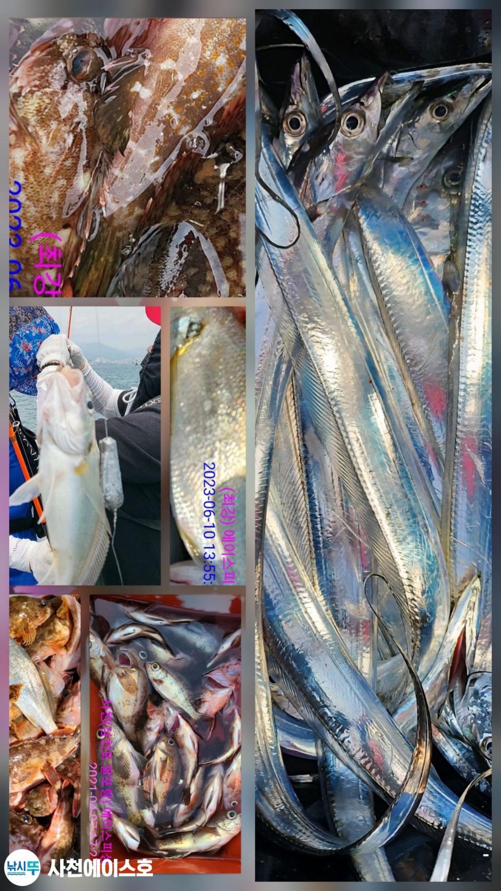 낚시뚜,돌문어,삼천포 팔포항,사천에이스호,낚시뚜5