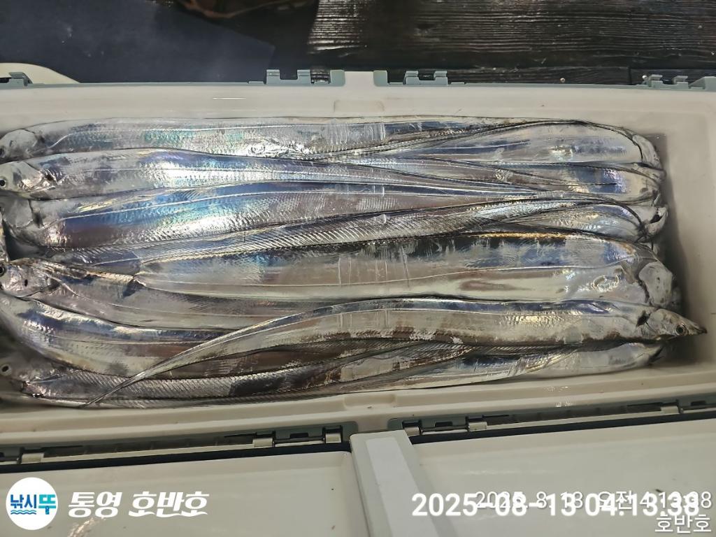 F2746320LF.jpg