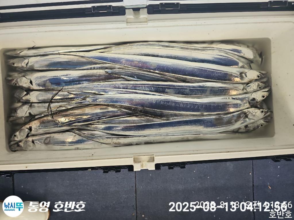 F2746321VL.jpg