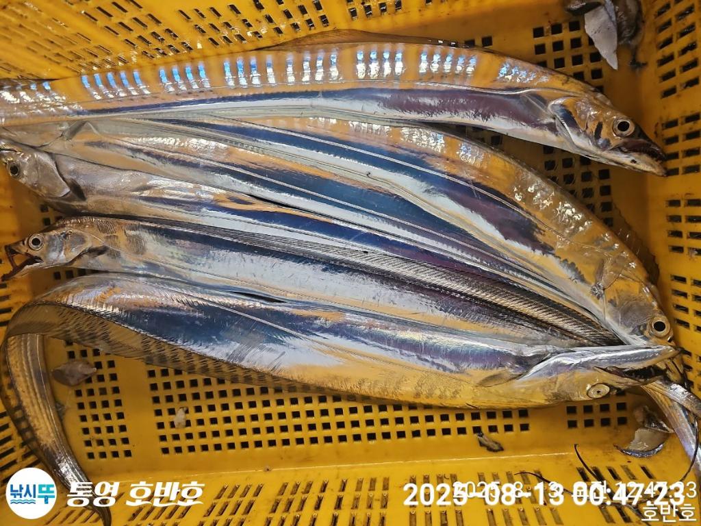 F27463222S.jpg